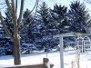 arleen-_snow_2007_041.jpg