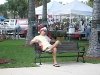 01. Fort Pierce farmers market bench: December 15, 2007