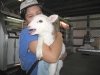 Rene and the new Lamby at White Rabbit Acres