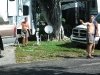 20080201paradisepics03w.jpg