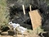 Slab City Culvert Community Shower