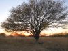 Lake Amistad Texas Sunset