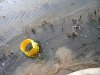 9. Crawfish traps in southern Louisiana