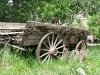 Old Horse Wagon in in Historic Lake City, CO