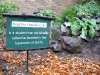 student collective garden on OSU Portland campus