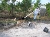 Working around the rescue