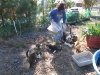 Feeding the outside cats