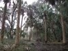 Skidaway Island State Park