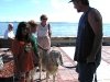 16. Fanny the Goat 