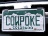 Colorado Cowpoke Vanity License Plate