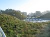 San Francisco Academy of Sciences living Roof Garden