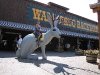 Riding the Giant Jackalope