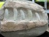 Mt. Ida Arkansas Wegman Crystal Mine Fossils