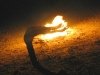 Fire Breathing Slab Dragon