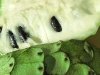 Cherimoya Tropical fruit from Borrego Springs market