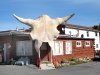 Dubois Laundry Cow Skull Entrance