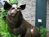 Bronze Pig Sculpture Fredericksburg Texas