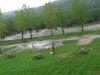 By The River RV Park Morning After Flash Flood Evacuation