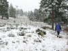 Wyatt and Jim walk property in the Snow