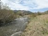 Villa Grove 5 Acre Property with Stream 
