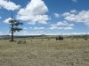 elkhorn estates property south park colorado