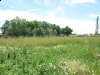 North Fort Collins Horse Property