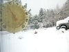 Time to head South for the Winter