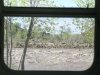 Scary Green River RV Window View