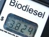 Arizona Biodiesel Pump Price