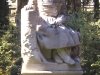 Gracie at Bonaventure Cemetery Savannah Georgia