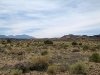 Arizona desert scene