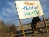 Three Legged Slab City Dog