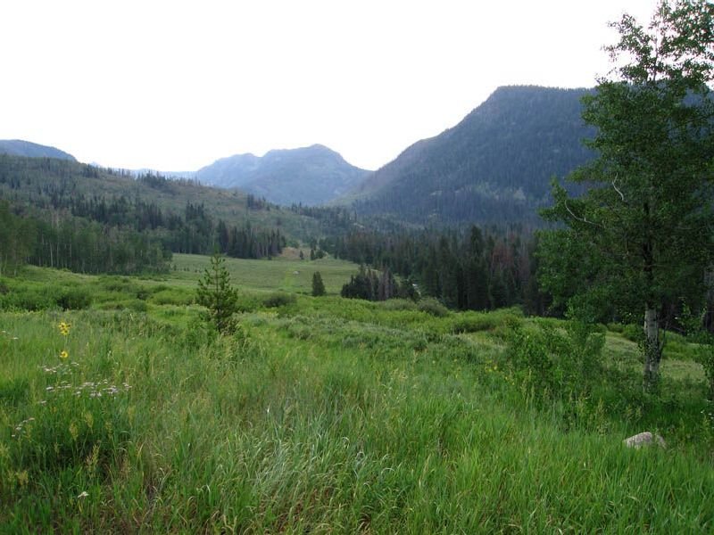 Seedhouse Forest Service Campground  Colorado