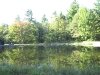 Moose Brook State Park,  New Hampshire