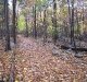 New Jersey state park camping