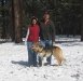 Snow in March 2008 at Flagstaff rest area