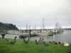 Winchester Bay, Oregon