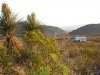 Free Boondocking in Black Gap WMA Big Bend Texas