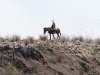 Vaquero de Mexico en el Rio Grande 