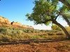Comb Wash near Blanding Utah