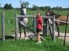 Schwabenlander Ranch in Belgium, WI