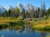 Grand Tetons reflected by beaver dam pond