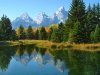 Grand Tetons reflected by beaver dam pond