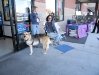Soliciting donations for Safe Harbor at pet adoption day