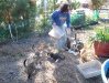 Feeding time for outdoor cats at Safe Harbor Animal Rescue