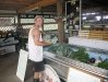 Restocking organic produce at the White Rabbit Acres farm store