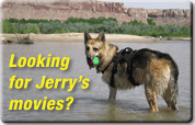 tripawds.com canine cancer resource blog