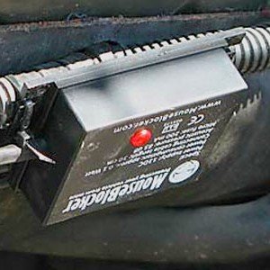How To Keep Rodents Out Of Your Engine Compartment mouseblocker