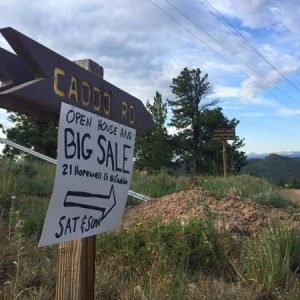Another Epic Live Work Dream Dream Mountain Property