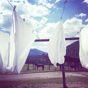 Nomadic Living Income Tips, Part 1: Rethinking Benefits and Pay workamper job description